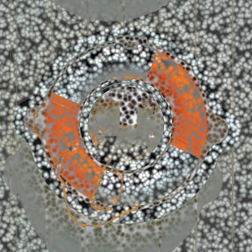 Variation 7