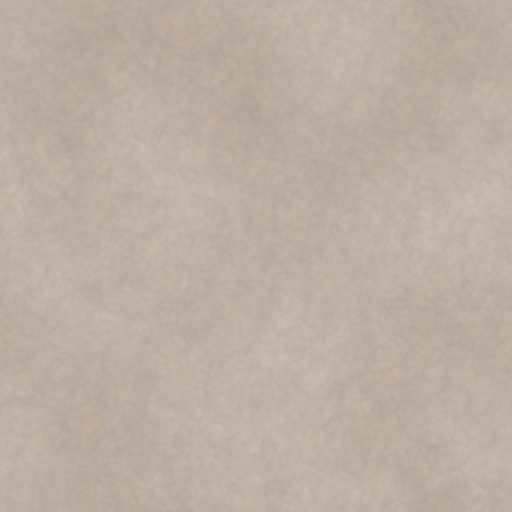 Diffuse Map