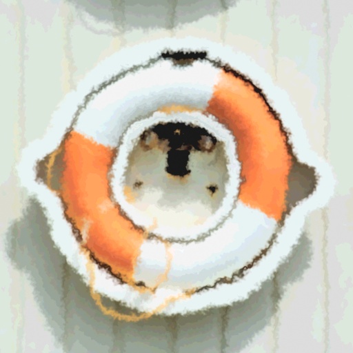 Diffuse Map