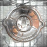 Olis steel