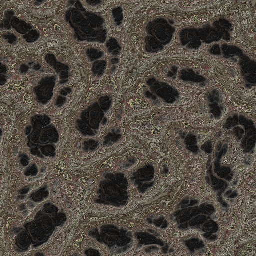 Variation 4
