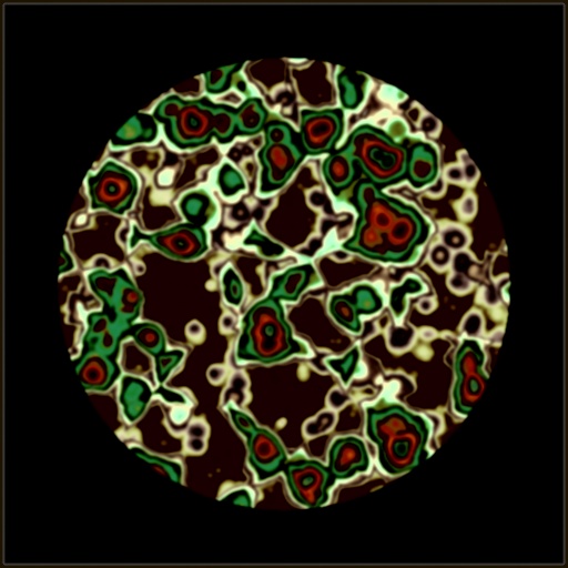 Variation 1