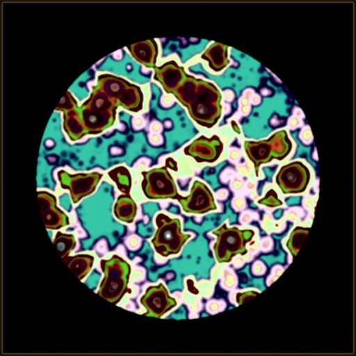 Variation 2