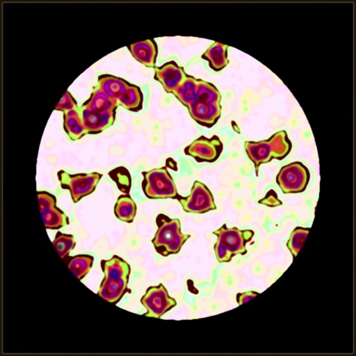 Variation 3