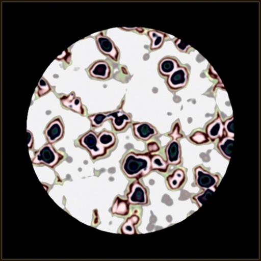 Variation 5
