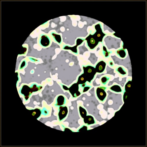 Variation 7