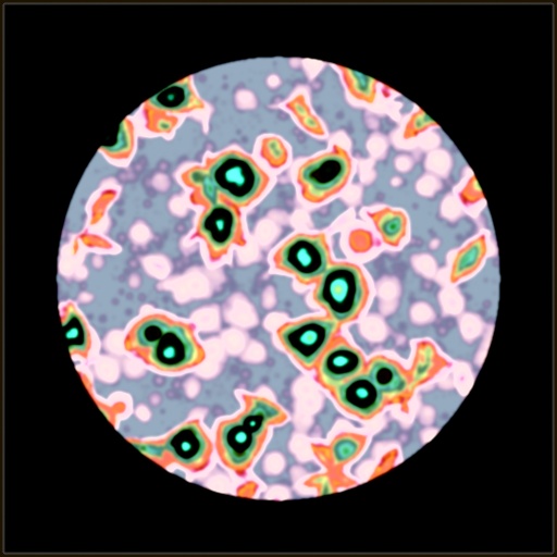 Variation 8