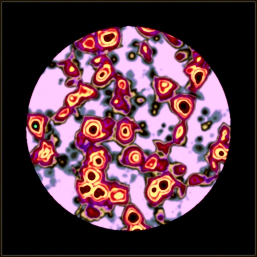 Pathology Lab II (Texture)