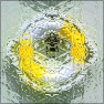 StevieJ's DesignerGlass2
