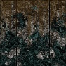 Lichen