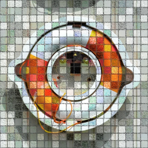 Variation 7