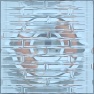 Tinted Glass Bricks