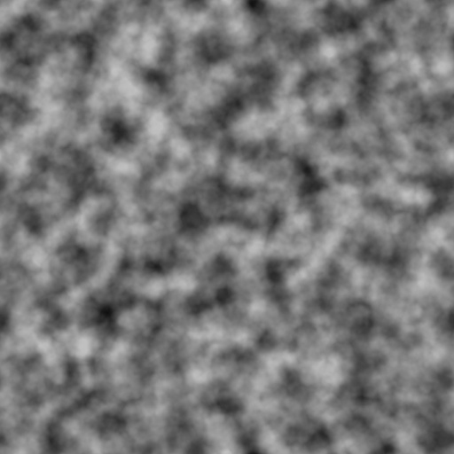 Bump Map