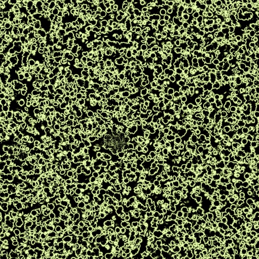 Variation 5