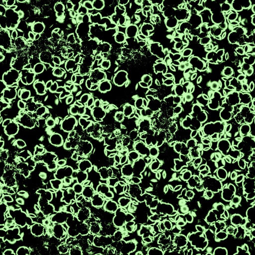 Variation 6