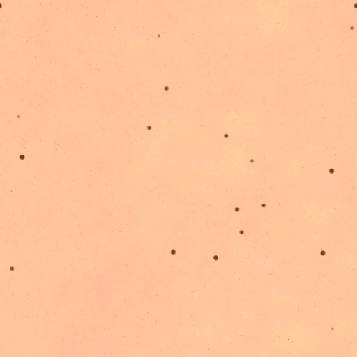 Variation 7