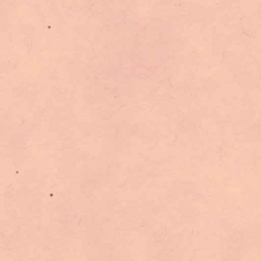 Skin 3.0 (Texture)