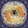 Foxxee's "Mesh Me"