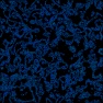 Nebula02