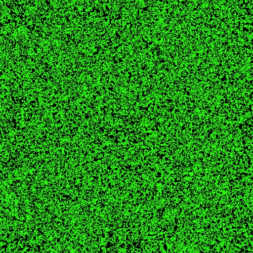Variation 4