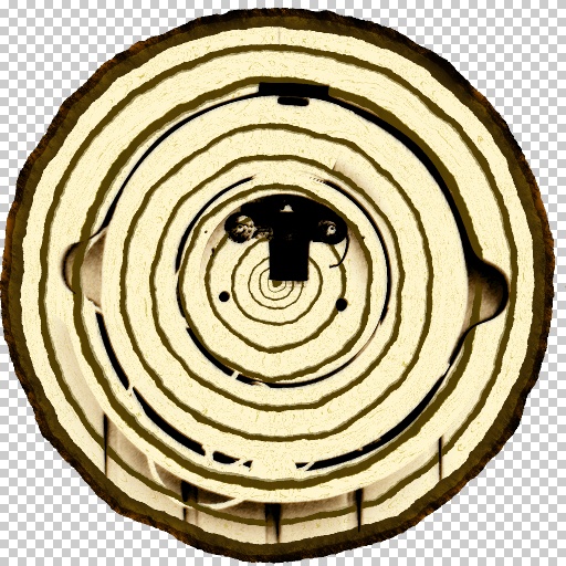 Variation 6