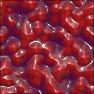 Cherry Pie Filling