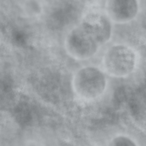 Diffuse Map