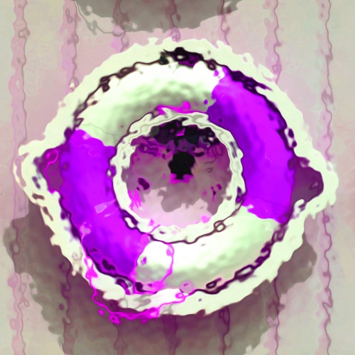 Variation 4
