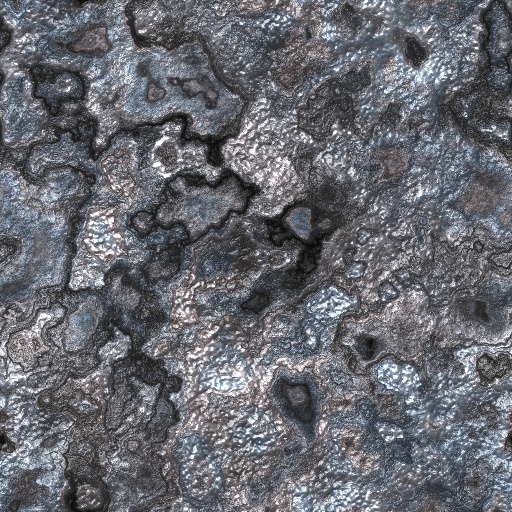 Variation 7