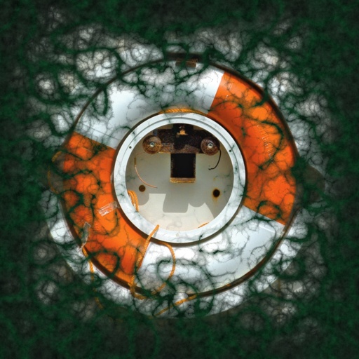 Variation 1