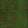 Mossy Walls