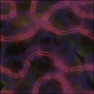 GlowingVines