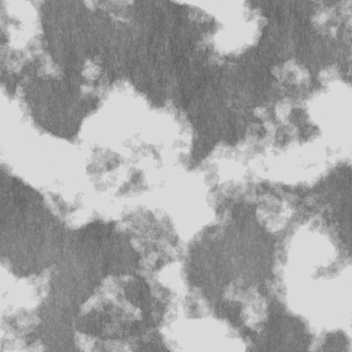 Bump Map