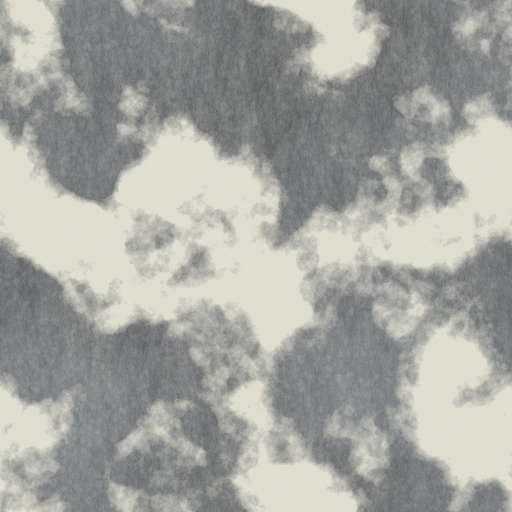 Diffuse Map