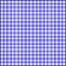 NE56 Gingham
