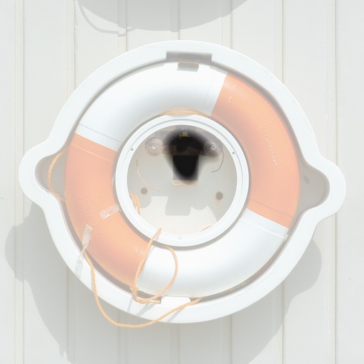 MartinaPainter (Effect)