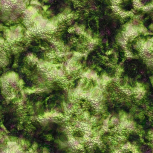 Variation 5