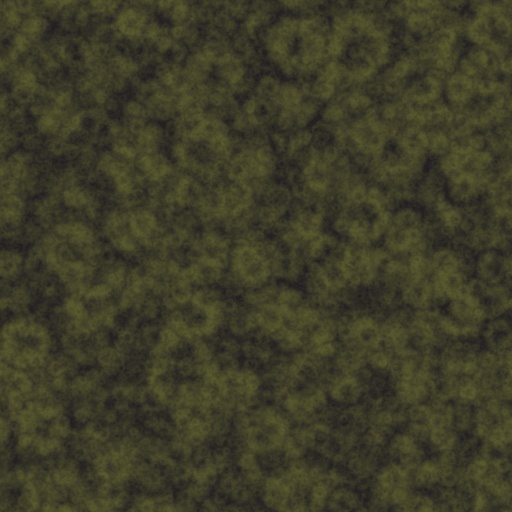 Diffuse Map