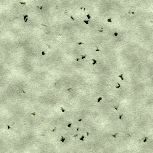 Variation 8