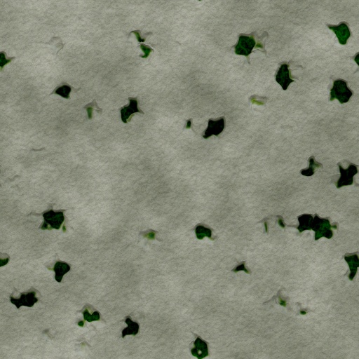 RuinStone (Texture)