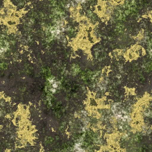 Variation 6