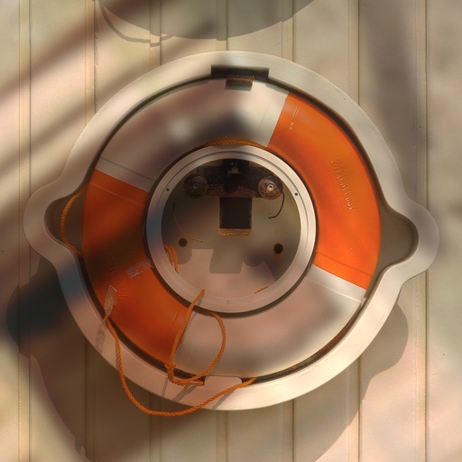 Variation 1