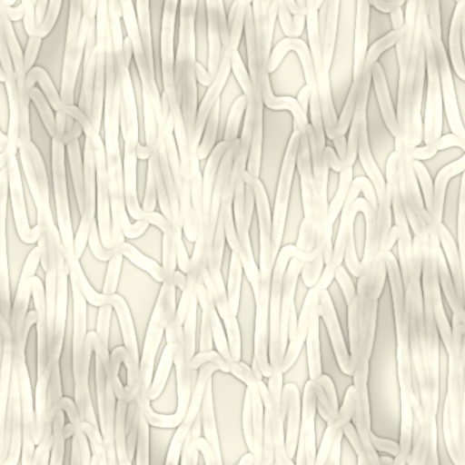 Diffuse Map