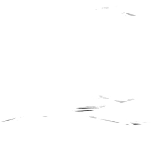 Reflective Occlusion Map