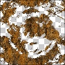 Rust