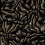 Metal Guts