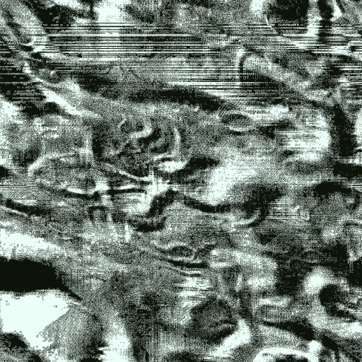 Variation 8