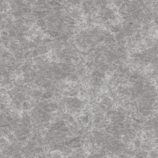Diffuse Map