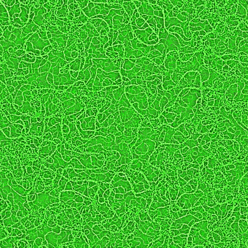 Variation 3