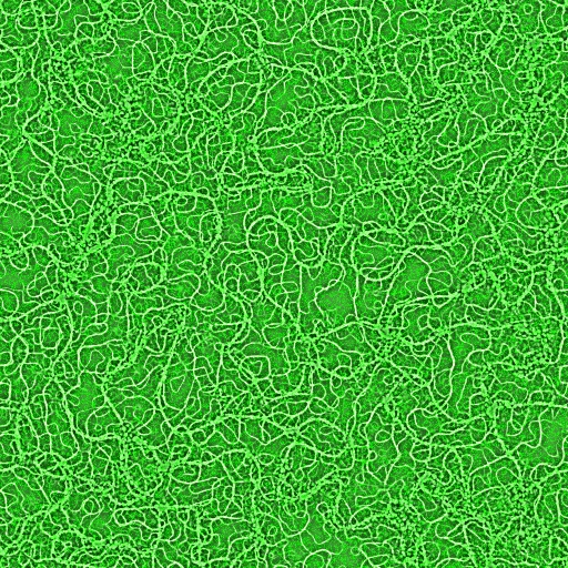 Variation 5